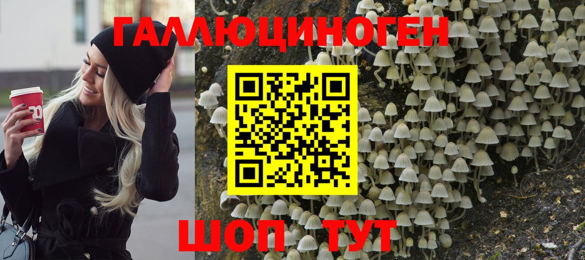 Борзя  Галлюциногенные грибы Cubensis  Псилоцибиновые грибы мухоморы  Вход с VPN 
