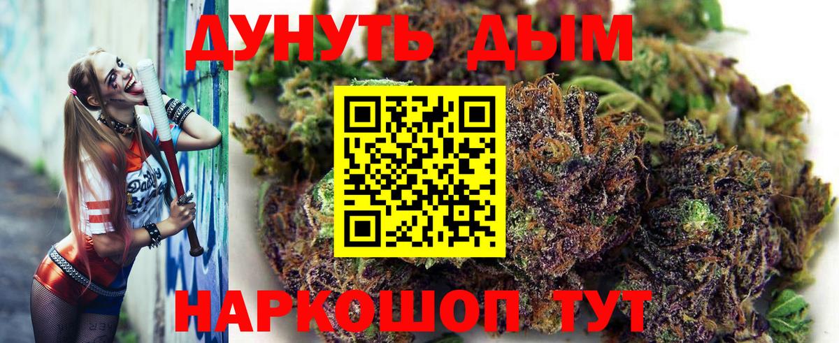 Каннабис конопля Борзя